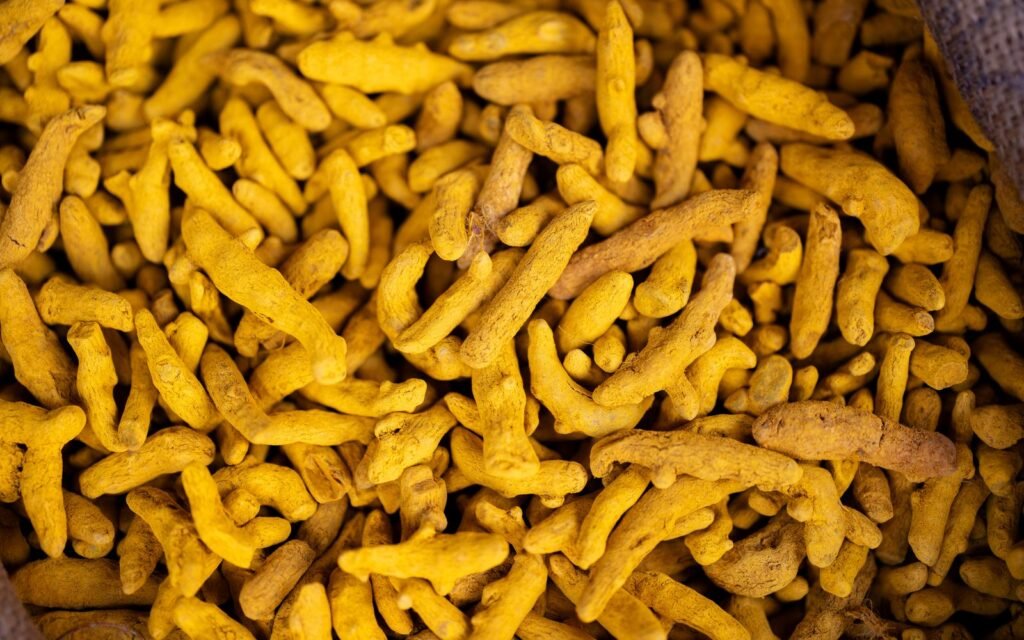Fresh turmeric roots representing Erode businesses in a local SEO guide