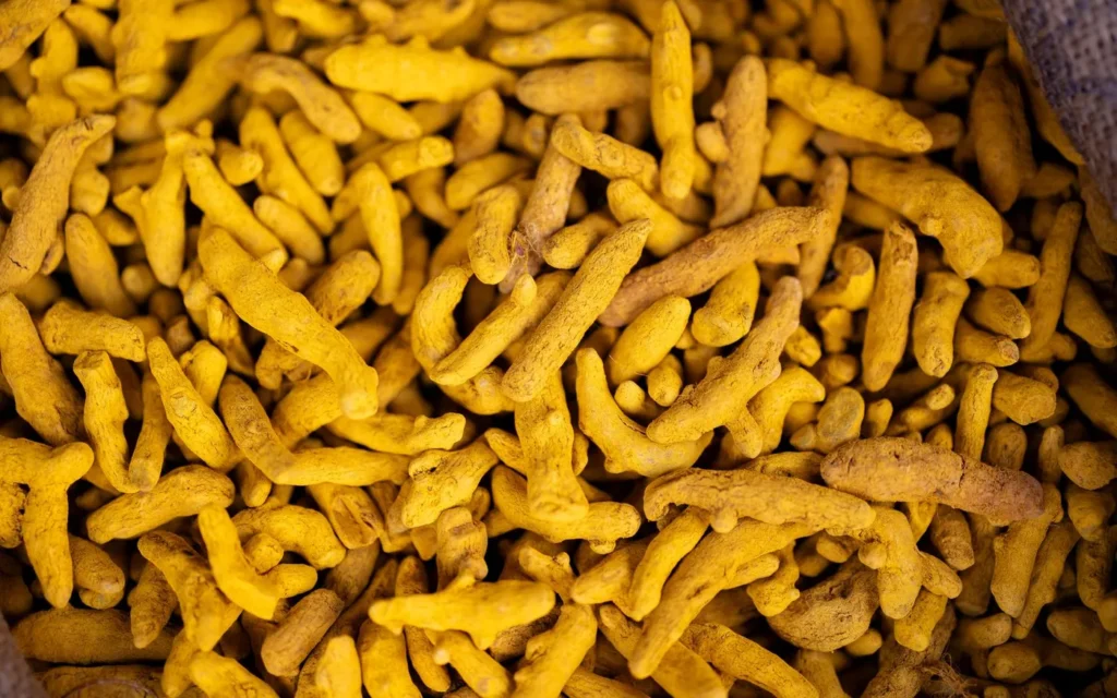 Fresh turmeric roots representing Erode businesses in a local SEO guide